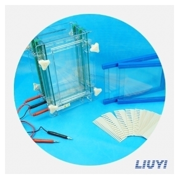 北京六一單板夾芯式垂直電泳儀（大號(hào)）DYCZ-28B